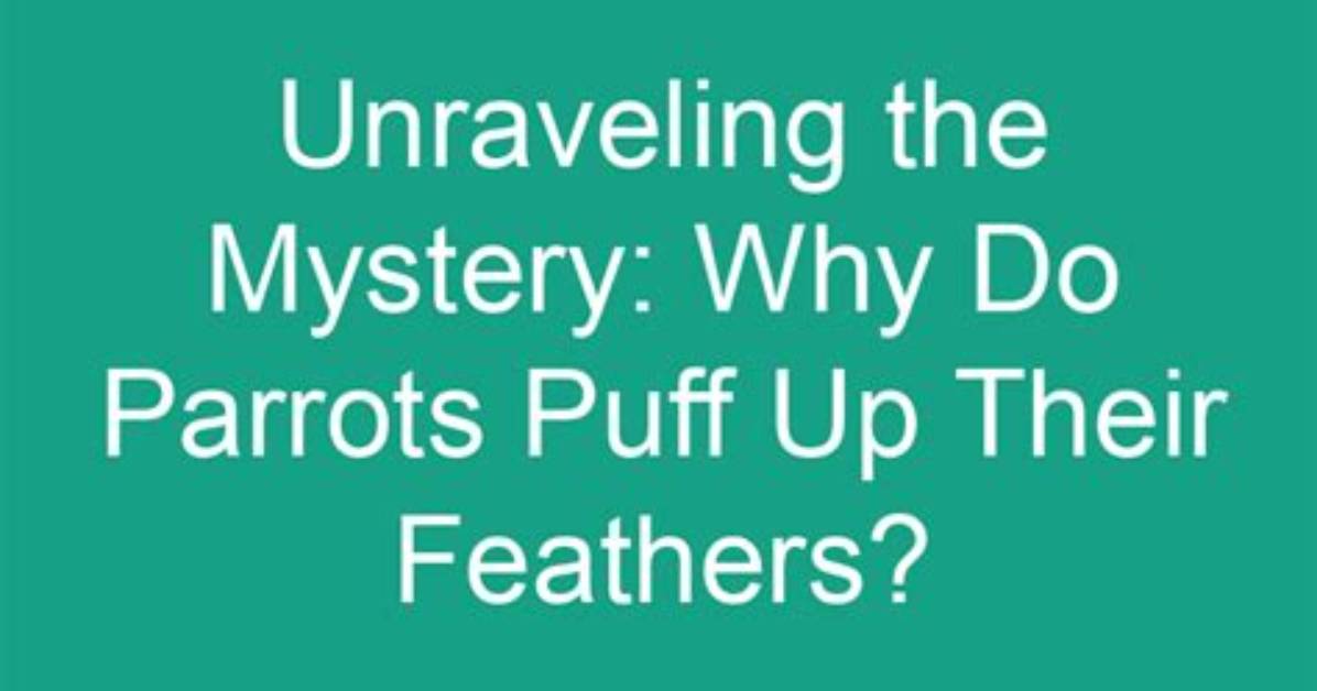 Unraveling the Mystery of Fmottrn Twitter: a Deep Dive