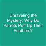 Unraveling the Mystery of Fmottrn Twitter: a Deep Dive