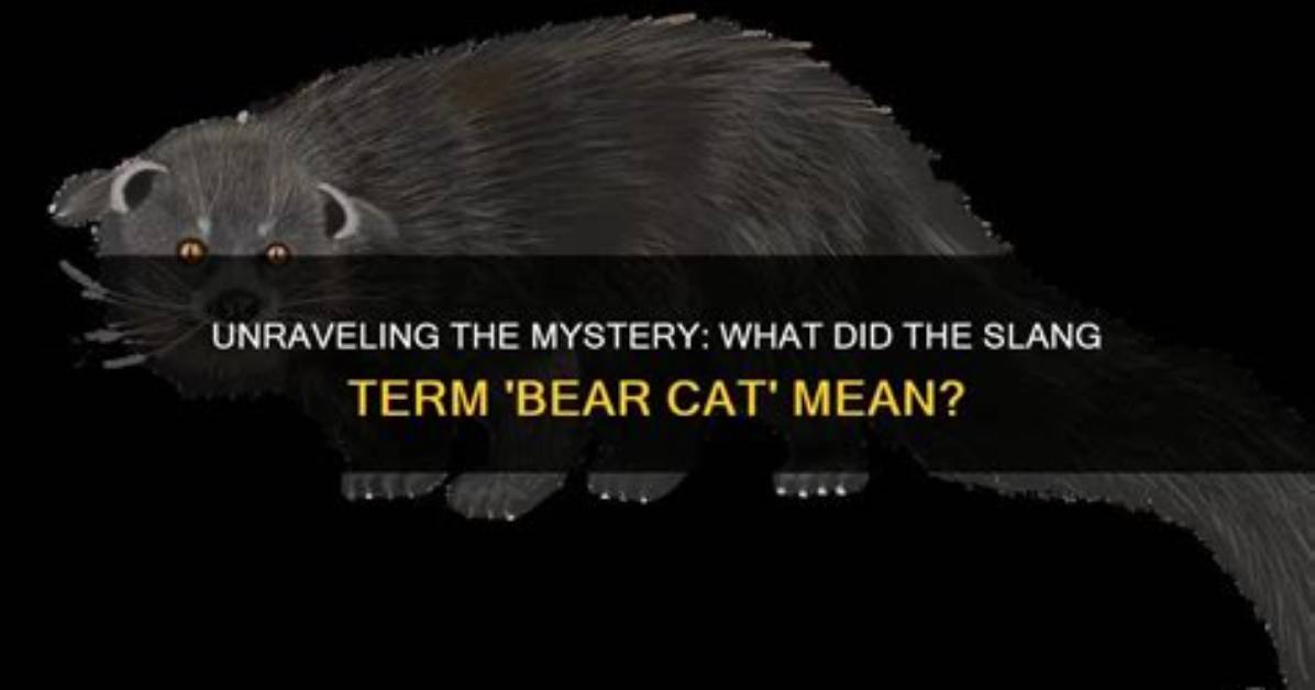 Unraveling the Mystery: the Slang Meaning of Psa Full Form