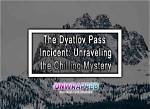 Unraveling the Mystery: the Stabbing Incident of Molly Noblity
