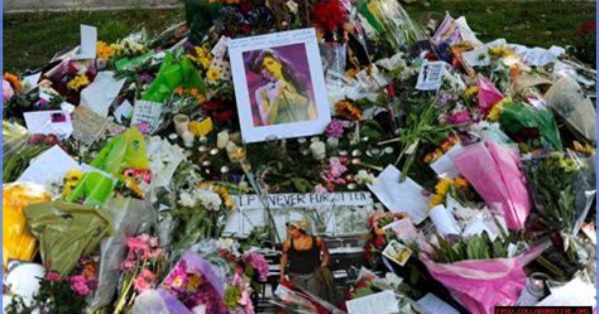Unraveling the Mystery: the Untimely Death of Tang Mo Nida