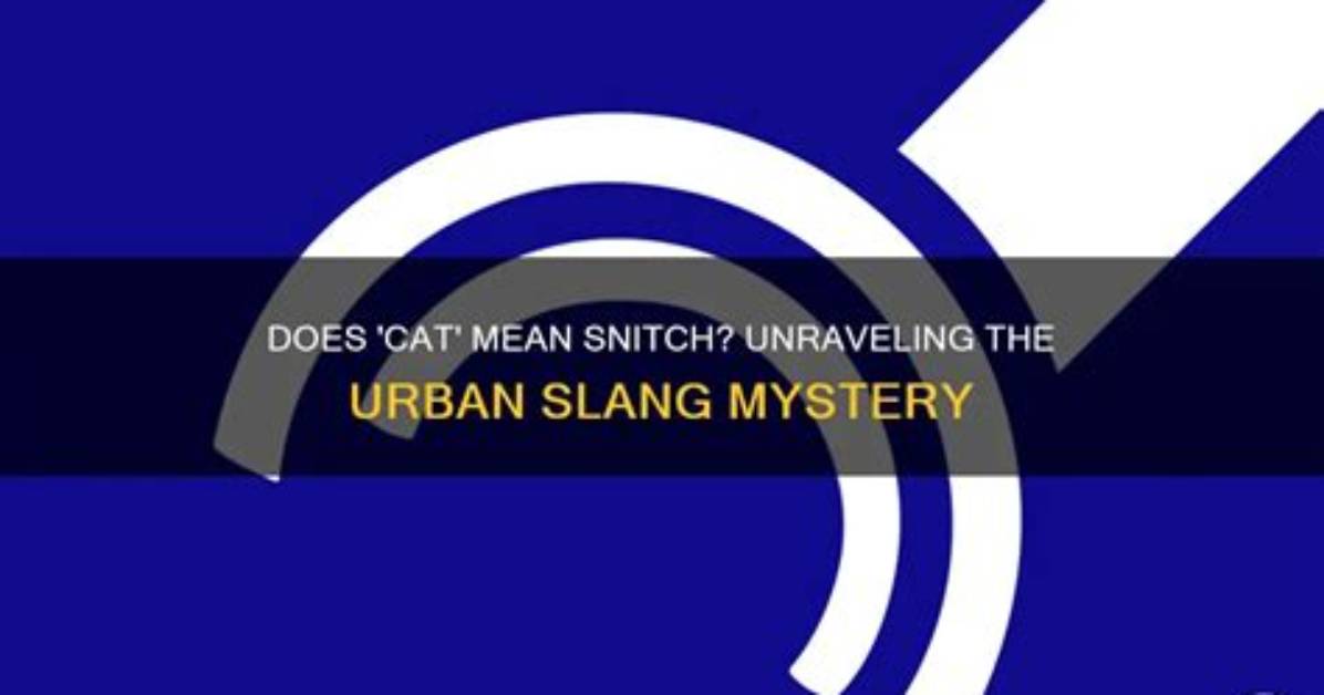 Unraveling the Mystery: What Does Lkr Mean on Tiktok?