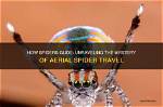 Unraveling the Mystery: Who Is Spider's Father in Avatar?