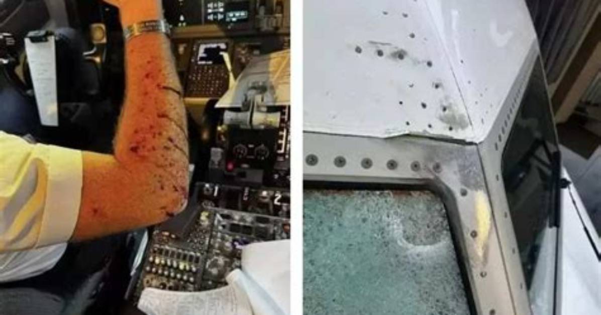 Unraveling the Mystery: Who Survives 47 Meters Down Uncaged?