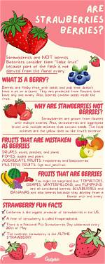 Unraveling Why a Strawberry Is Called a Strawberry