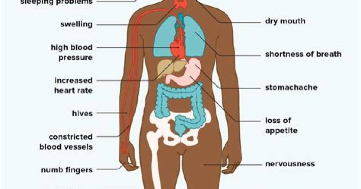 Unveil the Effects of Tums and Adderall: a Comprehensive Guide