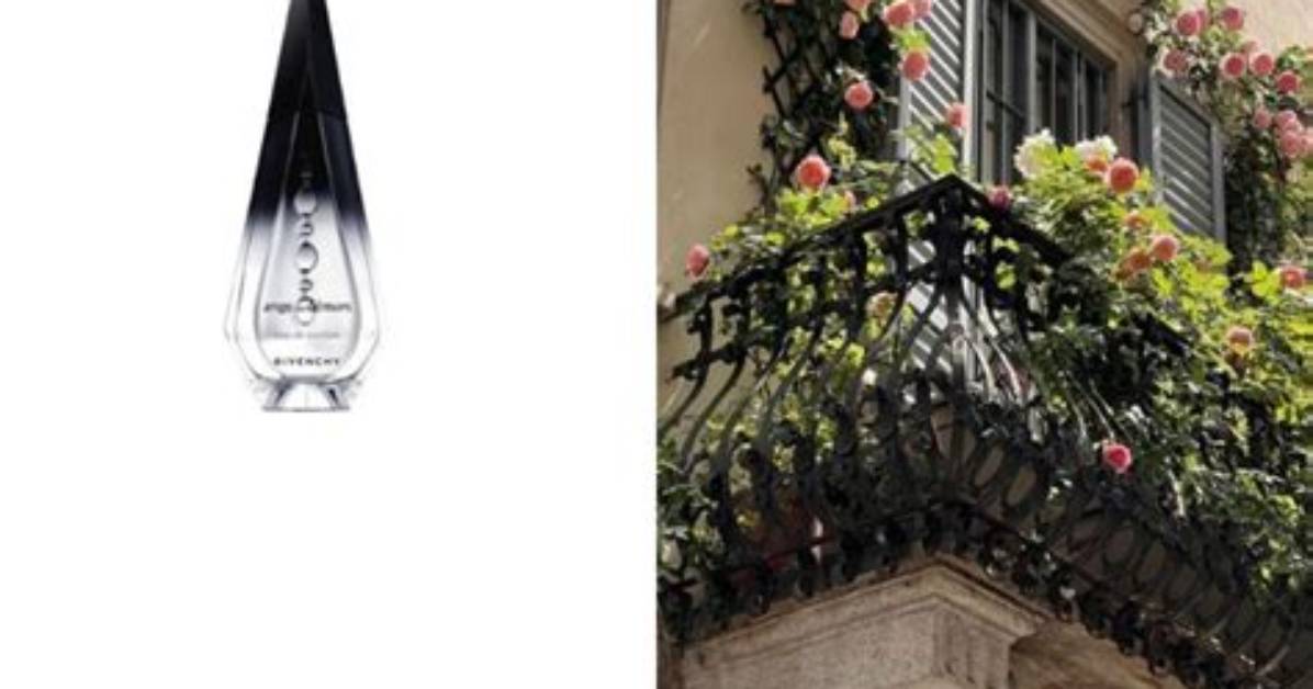 Unveil the Enigmatic World of Precious Ebony
