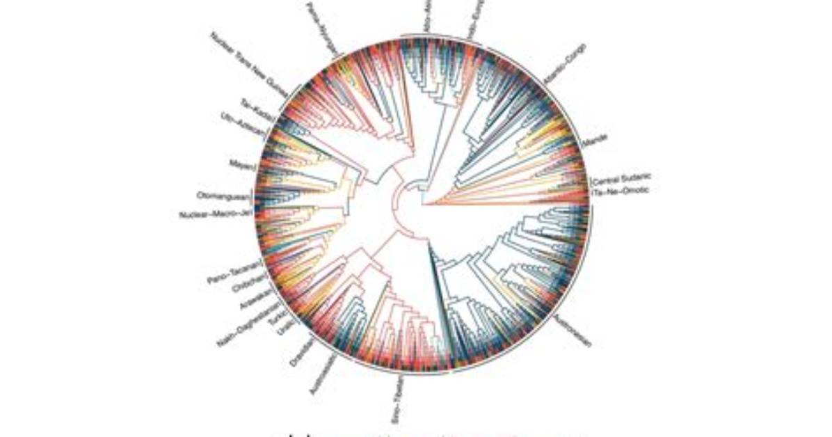 Unveiled Patterns and Surprising Insights