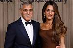 Unveiling Amal Clooney's Height: the Elegant Advocate