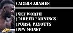 Unveiling Carlos Adames' Net Worth: Discoveries and Financial Insights