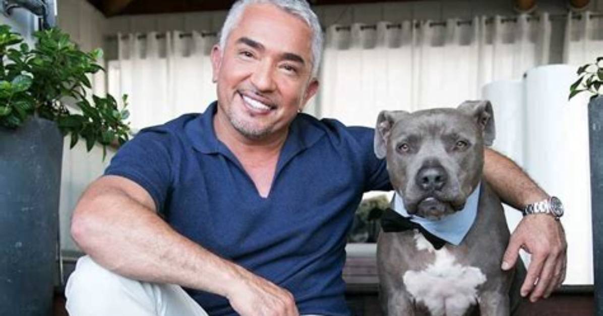 Unveiling Cesar Millan's Net Worth: Secrets and Strategies Revealed