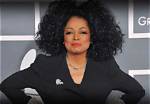 Unveiling Diana Blank's Net Worth: Discoveries and Insights