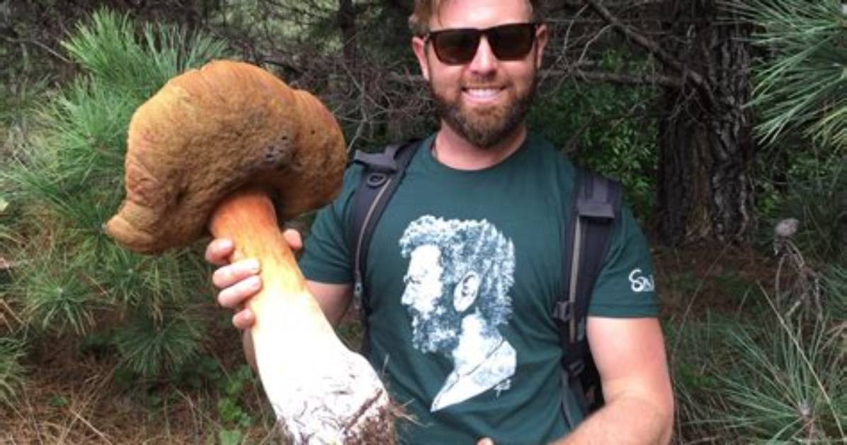 Unveiling Forrest Galante's Degree: Discoveries and Career Insights