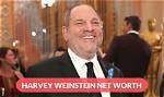 Unveiling Harvey Weinstein's Net Worth: Surprising Revelations