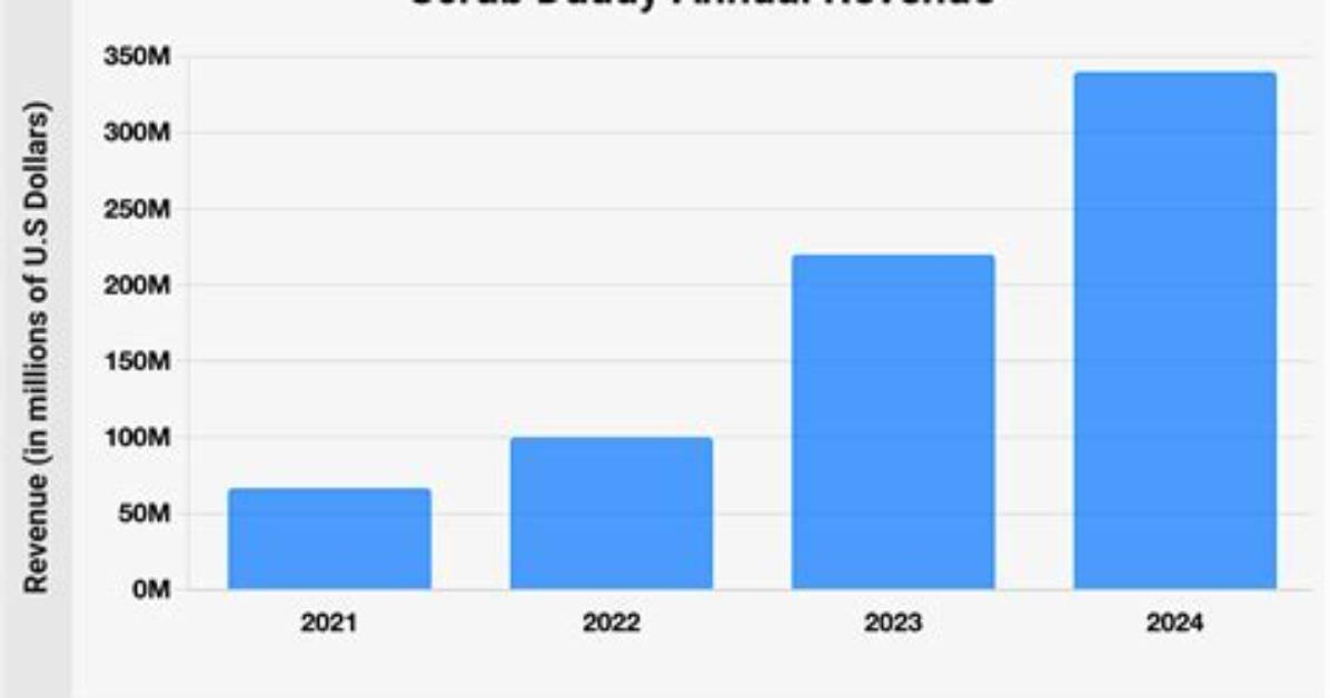 Unveiling Scrub Daddy's Revenue Secrets: Key Insights for 2024
