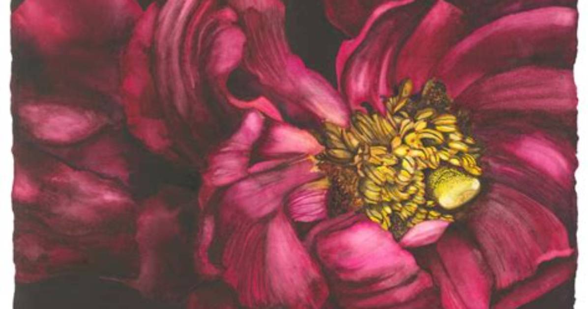 Unveiling the Artful Visions of Surata Zuri Mccants