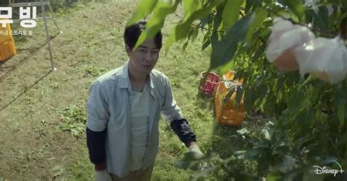 Unveiling the Charisma of Jo in Sung: a Journey Through His Life and Career