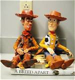 Unveiling the Charm of Misfit Woody: the Iconoclast of Our Times