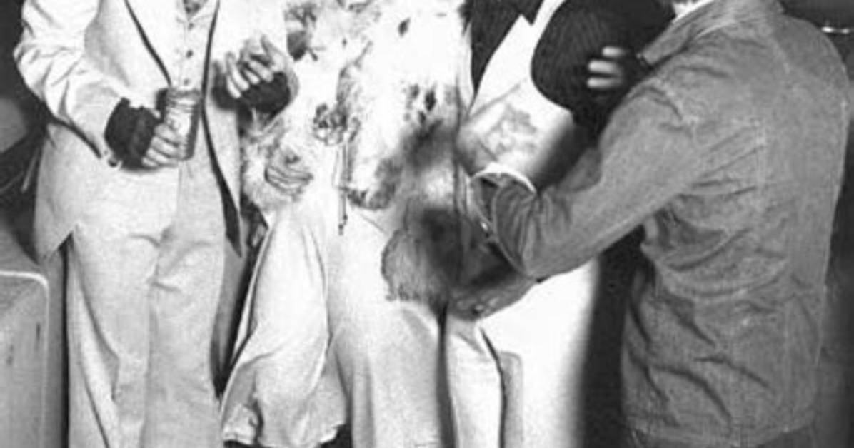 Unveiling the Connection: Saturday Night Fever and Fran Drescher