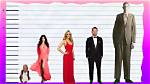 Unveiling the Enigma: Jenna Dewan Height