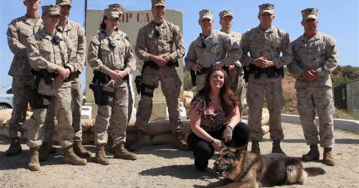 Unveiling the Heroism of Morales Megan Leavey