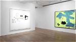 Unveiling the Immersive Art of Hanako Williams: Discoveries and Insights