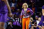 Unveiling the Impact of Kim Mulkey's Siblings: Discoveries and Insights