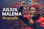 Unveiling the Inspiring Life of Julius Malema's Wife: from Medicine to Activism