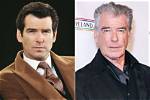 Unveiling the Irish Roots: Is Pierce Brosnan Irish?
