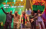 Unveiling the Legacy of Stephen Marley’s Mother