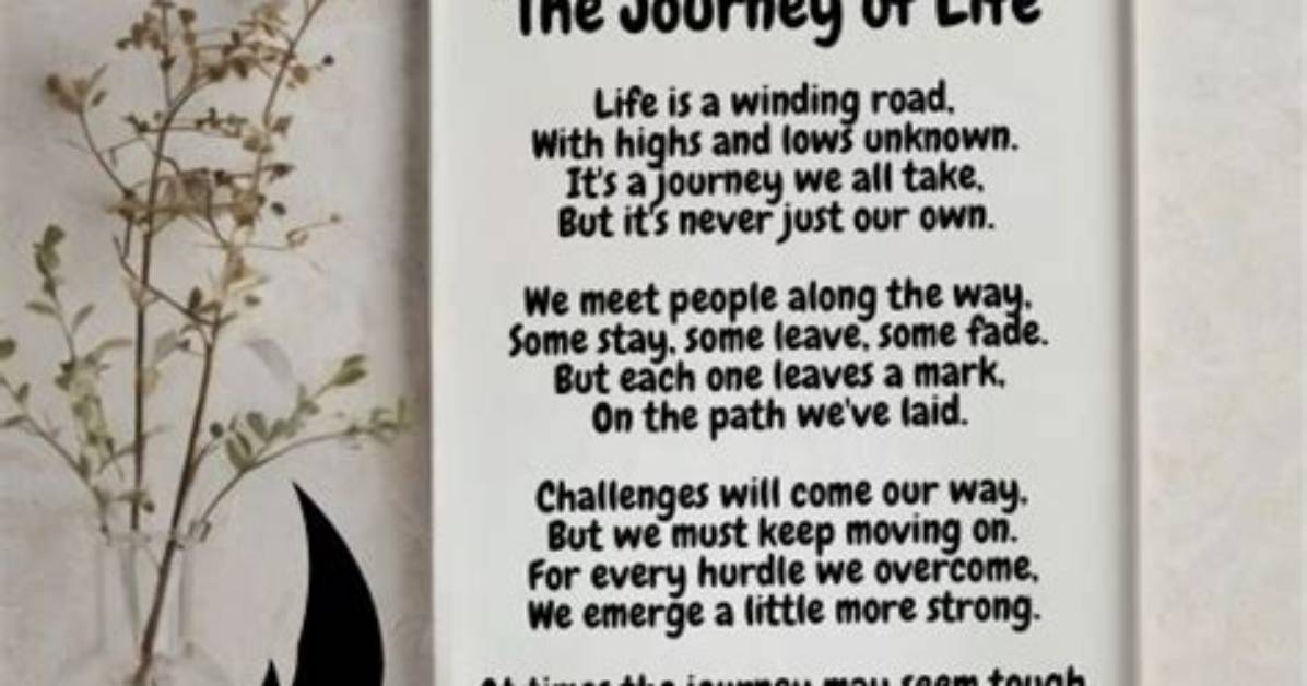 Unveiling the Life and Journey of Amomama Cast Katy