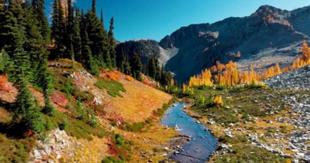 Unveiling the Life and Journey of Autumn Levine