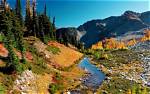 Unveiling the Life and Journey of Autumn Levine