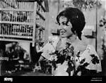Unveiling the Life Story of Flor Silvestre