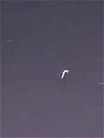Unveiling the Mysteries of Drizzle Drizzle