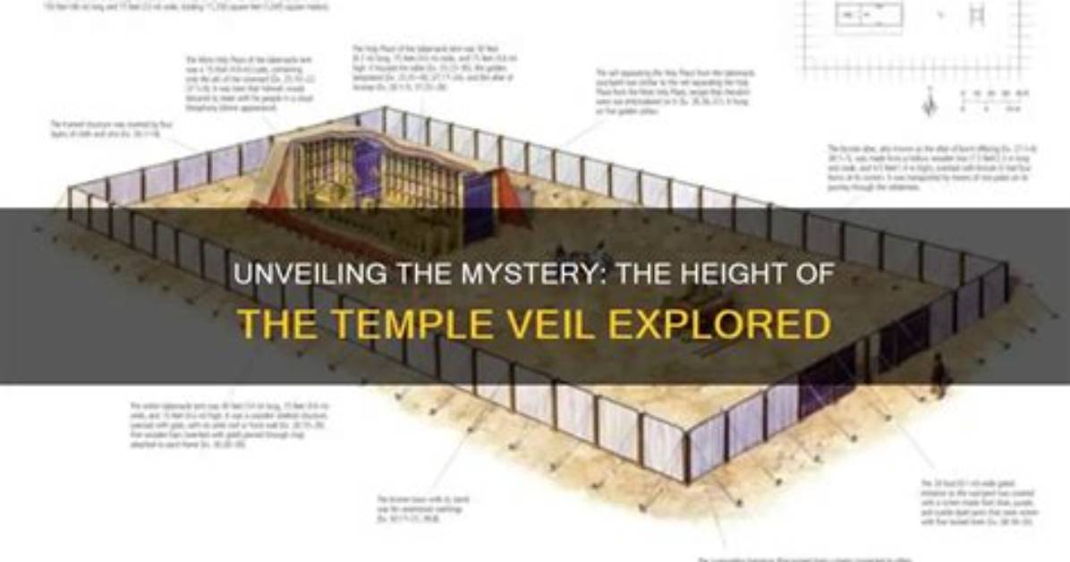 Unveiling the Mystery: Height Explored