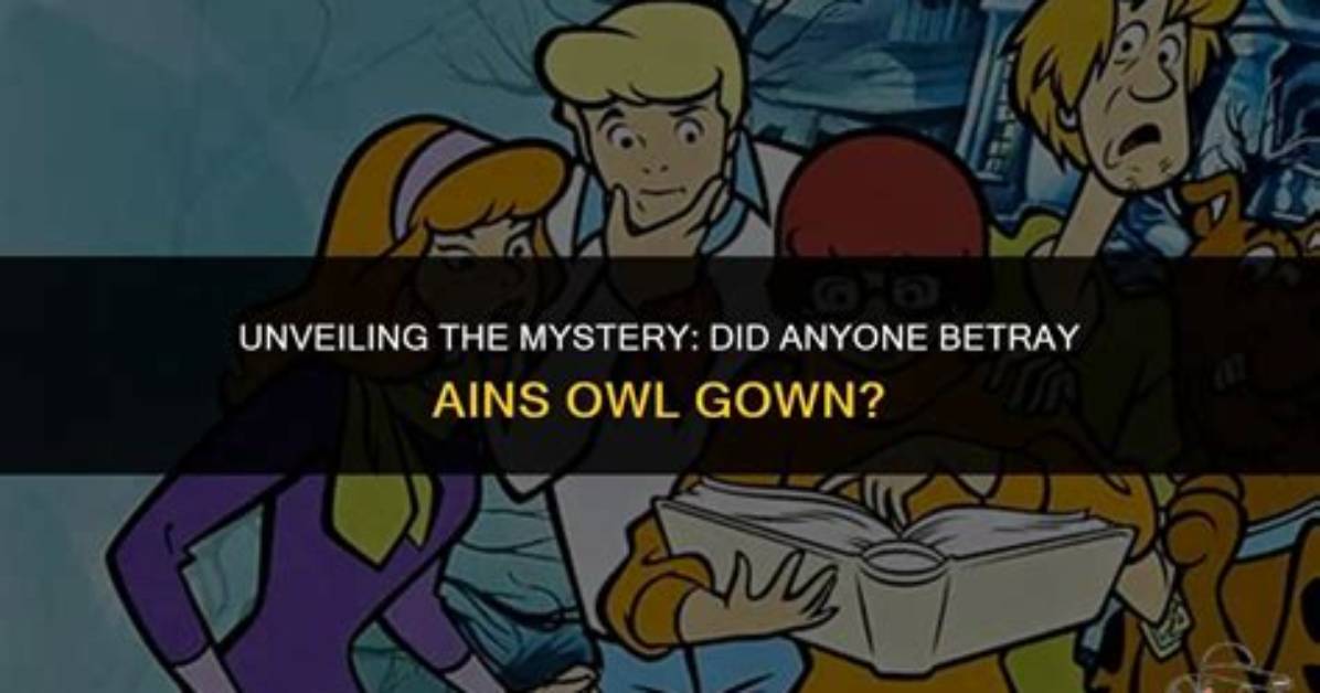 Unveiling the Mystery of Owl City's Wife