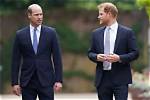 Unveiling the Physical Attributes of Prince William: Height and Weight
