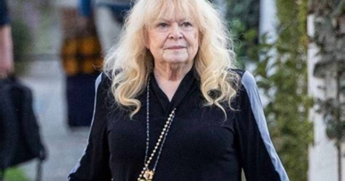 Unveiling the Professional Journey of Sally Struthers' Daughter