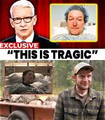 Unveiling the Reasons Behind Atz Lee and Jane's Divorce: Unraveling the Complexities