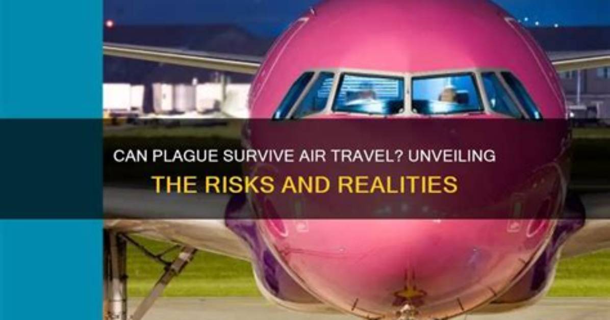 Unveiling the Risks and Realities of "Rick Ness in Accident"