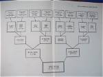 Unveiling the Roots: Robert Lewandowski Family Tree