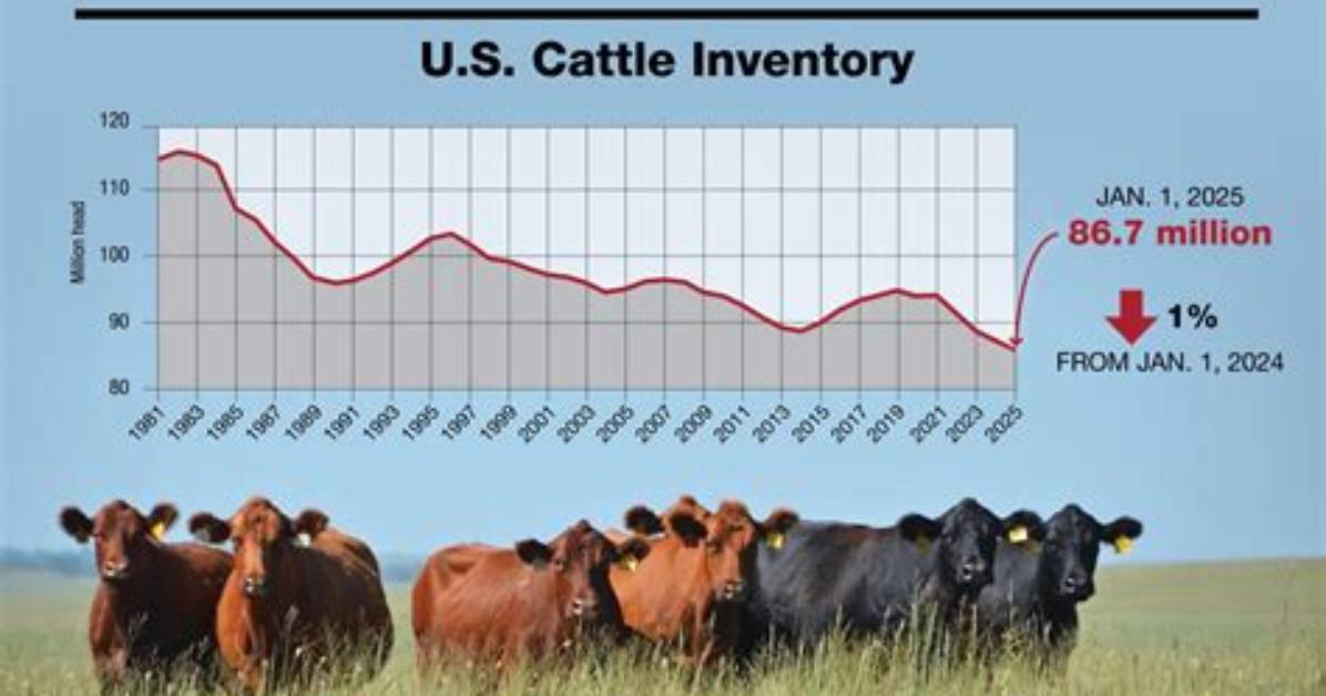 Unveiling the Secrets of Cattle Prices in Mississippi