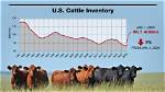 Unveiling the Secrets of Cattle Prices in Mississippi