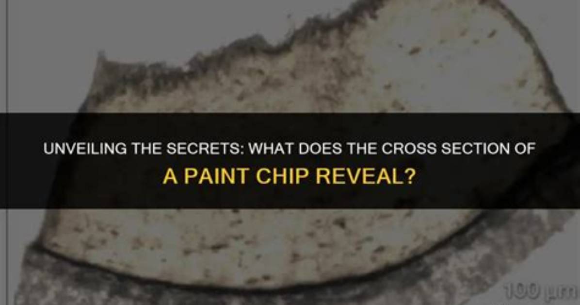 Unveiling the Secrets of Chip Gains: the Path to Transformative Change