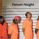 Unveiling the Secrets of Fanum Height: Discoveries and Insights