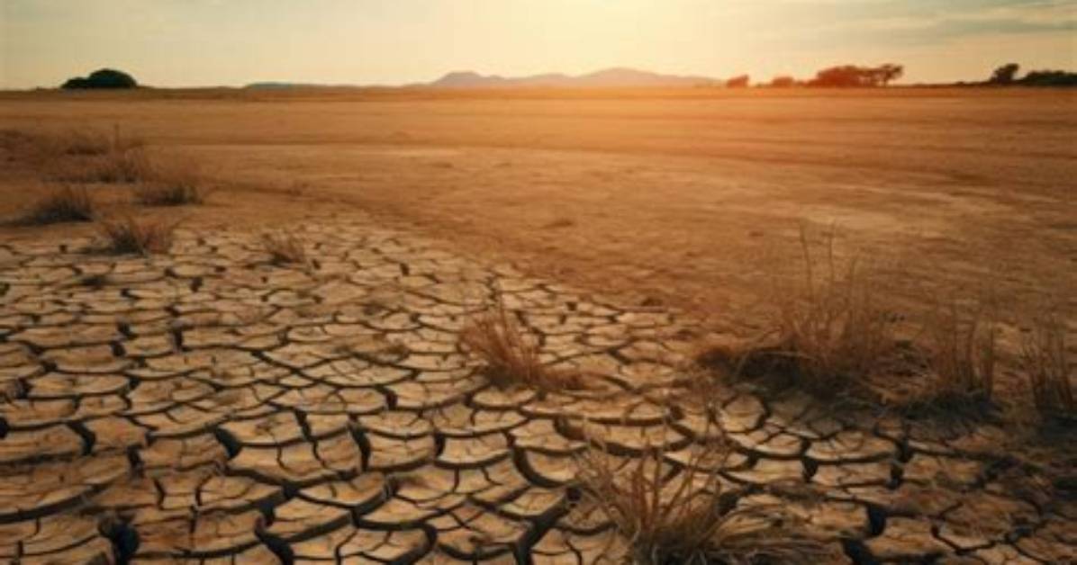 Unveiling the Secrets of Nature's Resilience with Naked and Afraid's Rachel
