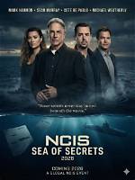 Unveiling the Secrets of Ncis: Meet Lucas Black, the Rising Star