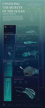 Unveiling the Secrets of Ocean Alley Names: Discoveries and Insights
