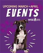 Unveiling the Secrets of Wise Animal Rescue: Discoveries and Insights